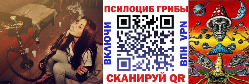 купить закладку  Мезень  Галлюциногенные грибы Psilocybine cubensis 